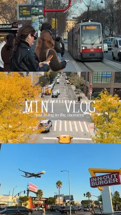 minivlog 