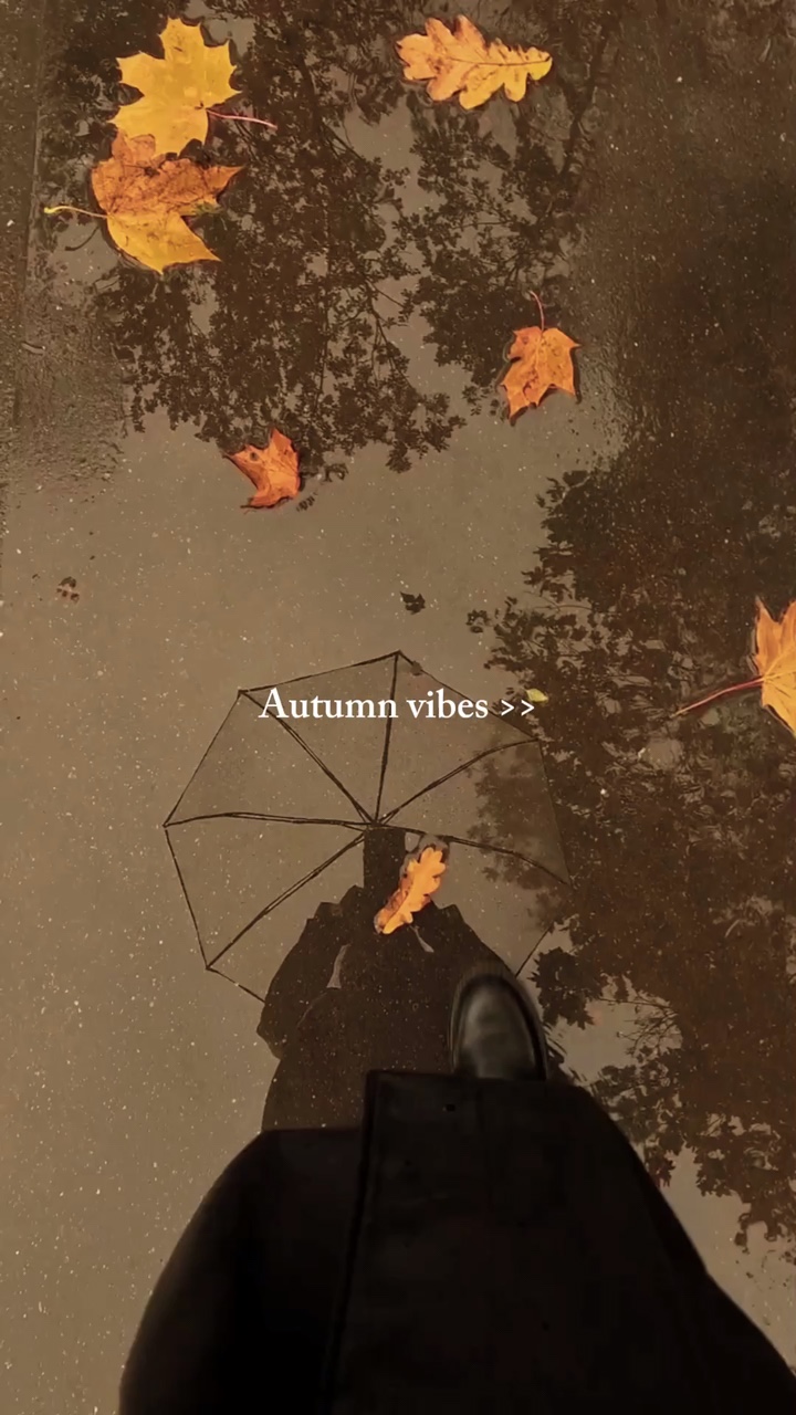 Autumn vibes