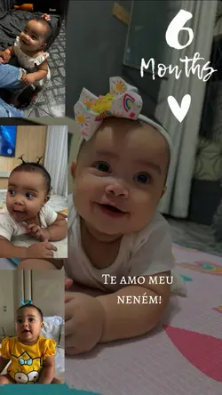 6 meses