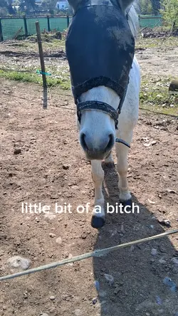 little bit of a ..