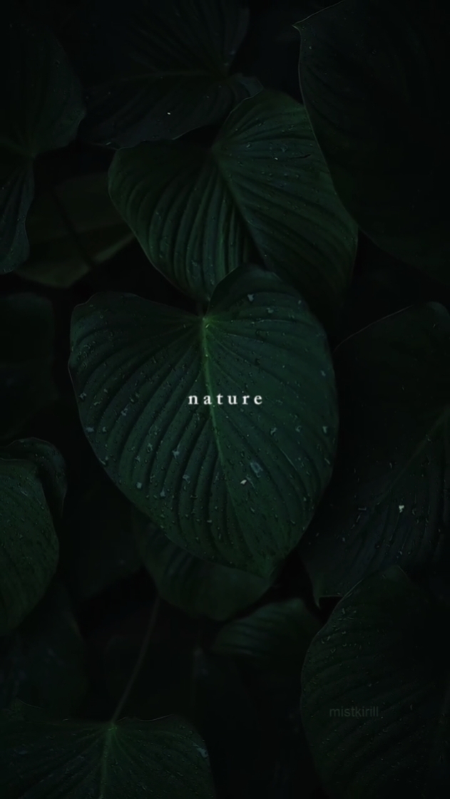 Nature 
