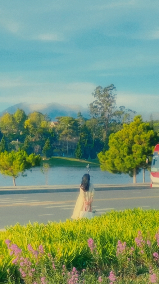 dream filter 