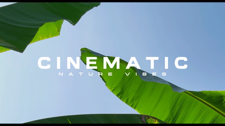 Cinematic Nature aes