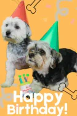 dog birthday