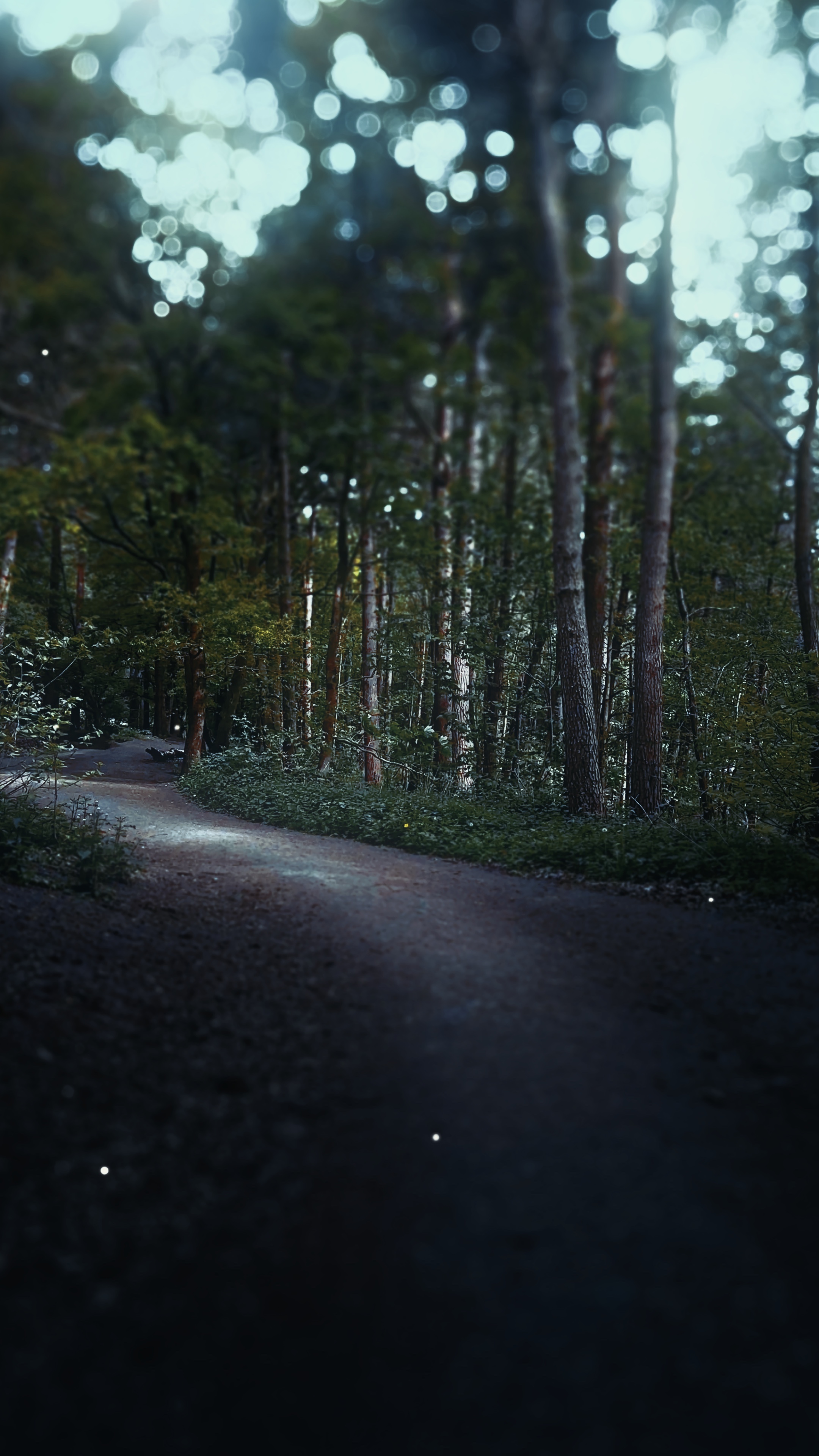 Nature ASMR