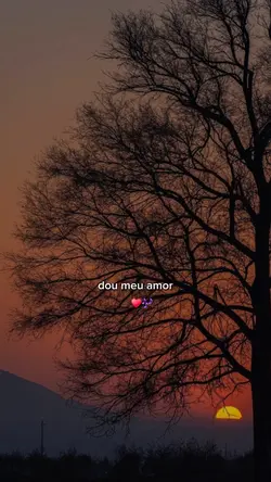 Faço de tudo