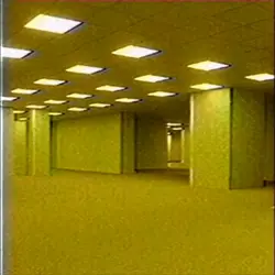 Bsckrooms