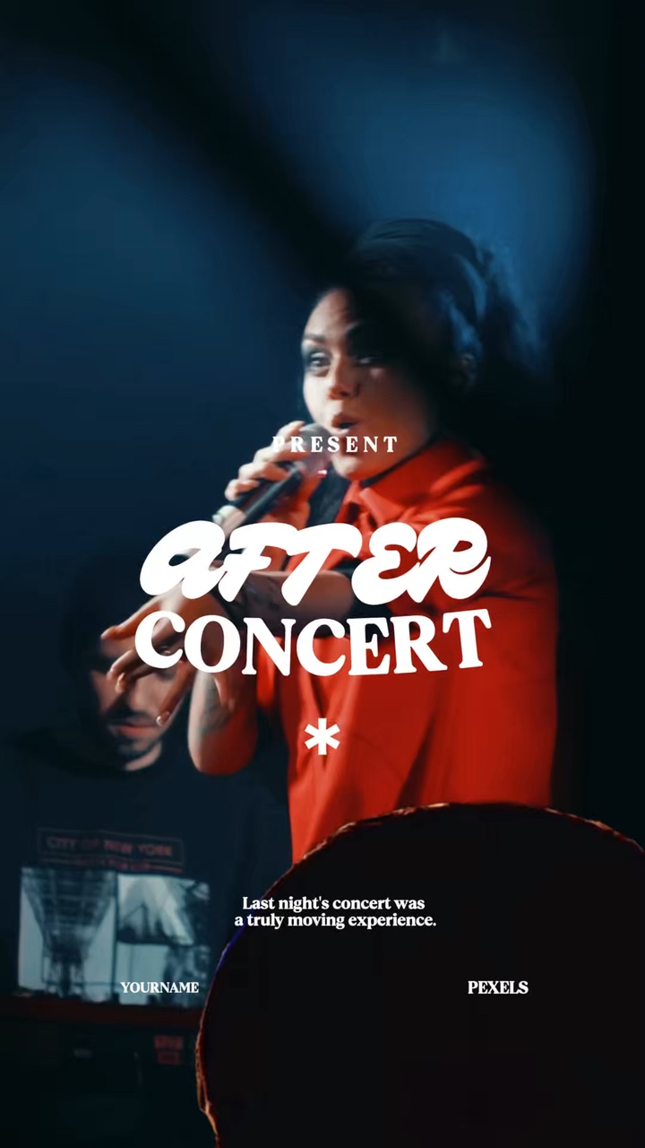 Vlog | Concert PT 2