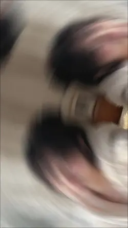 三段節奏給我,照片交給你