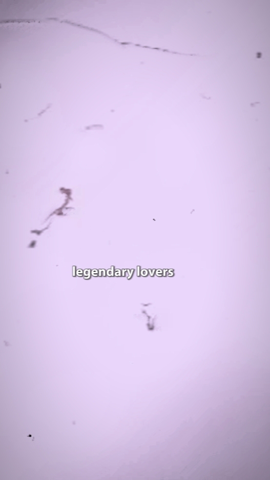 legendary lovers