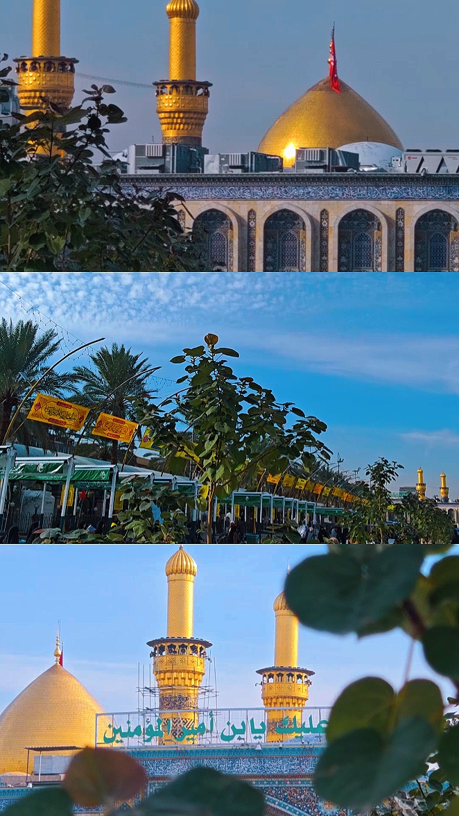 رجب شعبان 