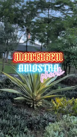 Montagem Amostra