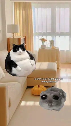 meme cucur adabi