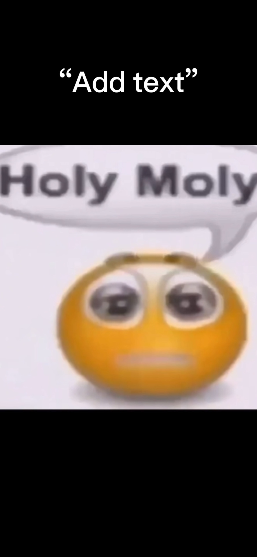 거룩한 몰리