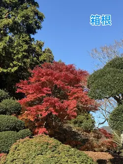 なんでもOK