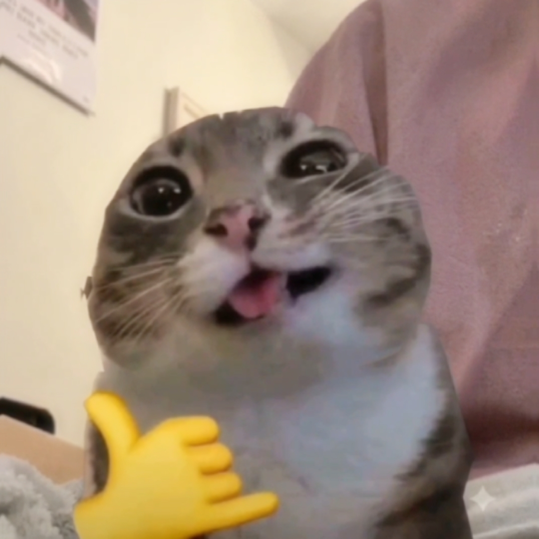 cat edit