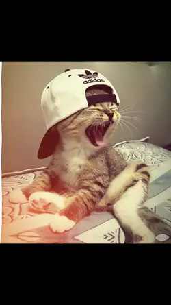 cool Ming Ming 