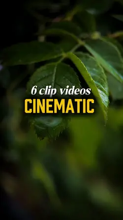 6, video cinematic
