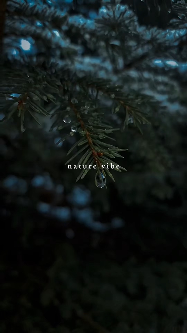 Nature vibe