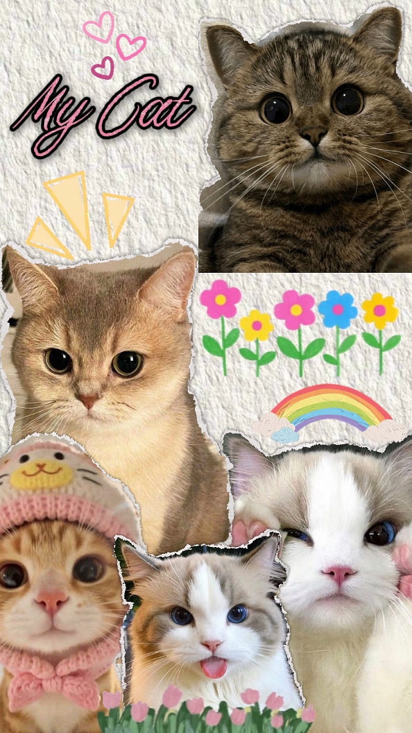 sevimli kedi