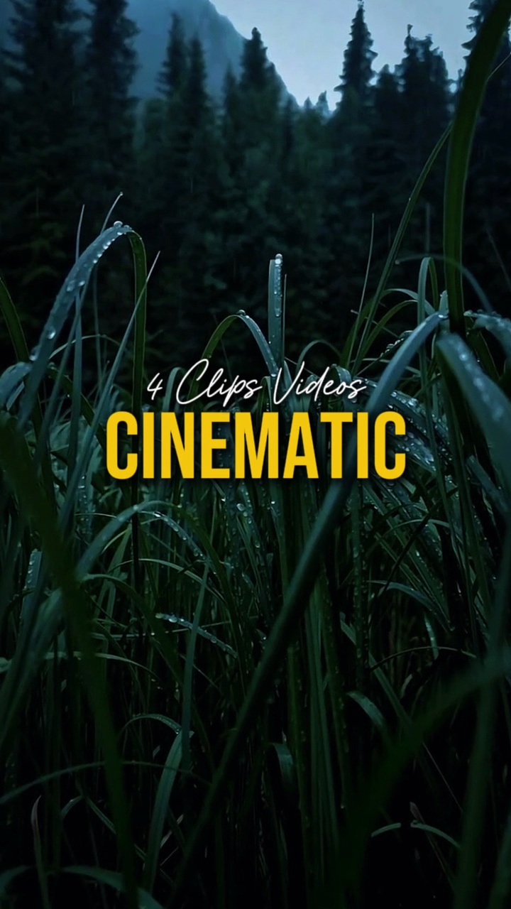 Cinematic 4 Videos 