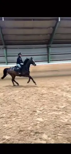 slowmo