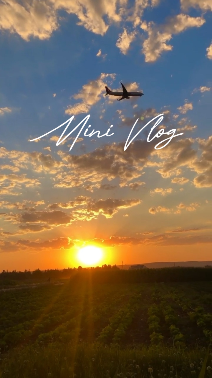 Mini vlog 6 video 