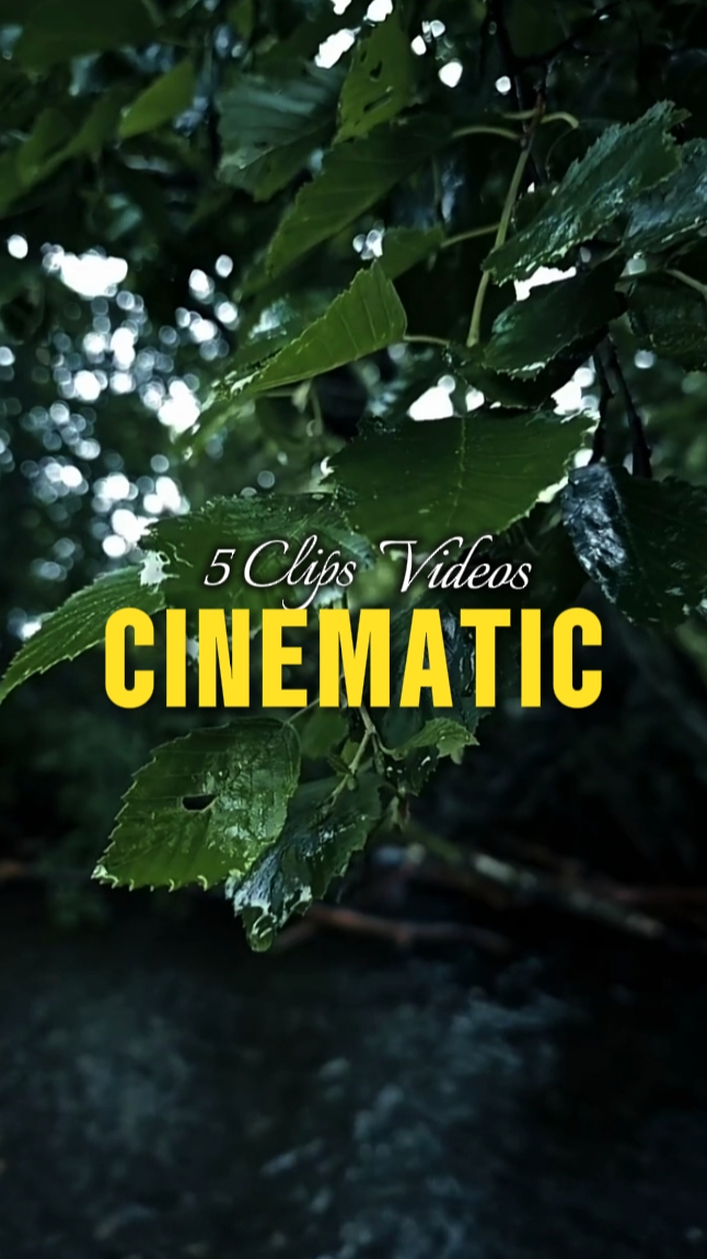 5 Clips Cinematic