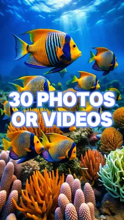 30 Photo Slides