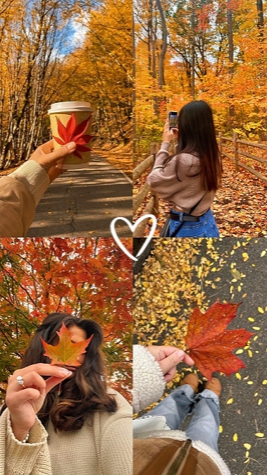 4 fotos