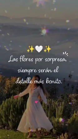 frases bonitas 