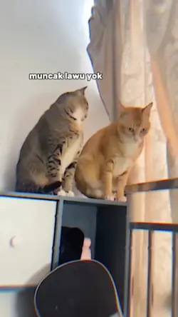 VERSI NO MIRRIR