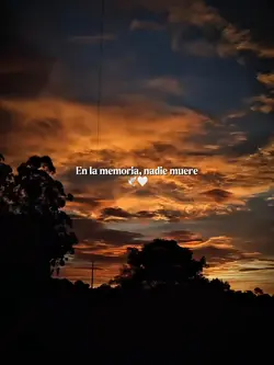 Luto 🕊️