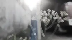 LightswitchChallenge