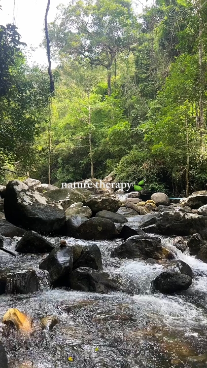 Kalikasan