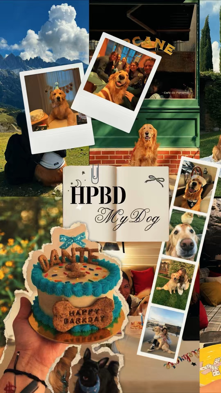 Birthday my dog