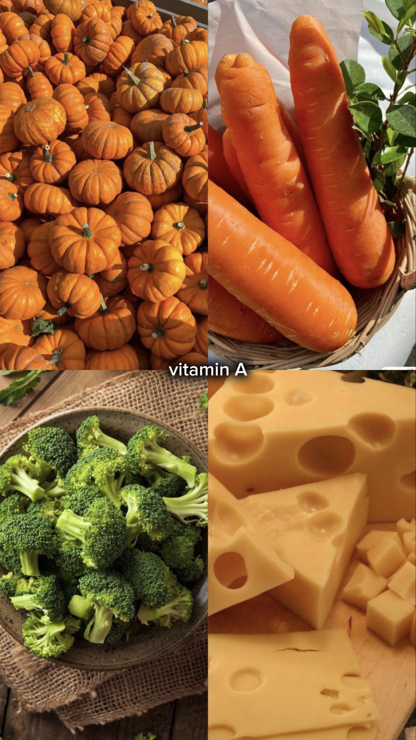 vitamin atları🤠🐴
