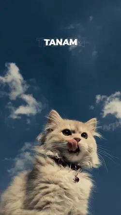 lirik estetik