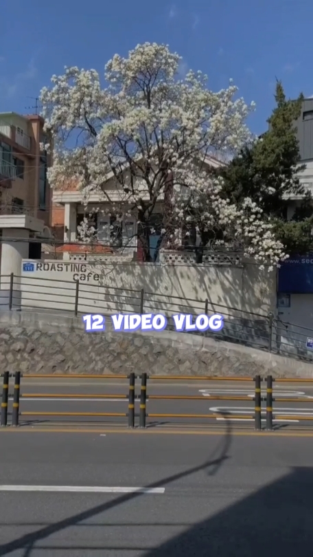 12 VIDEO VLOG 