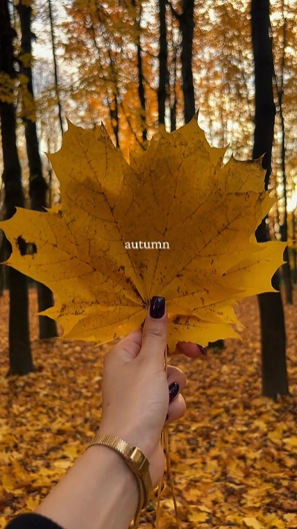 autumn vlog 