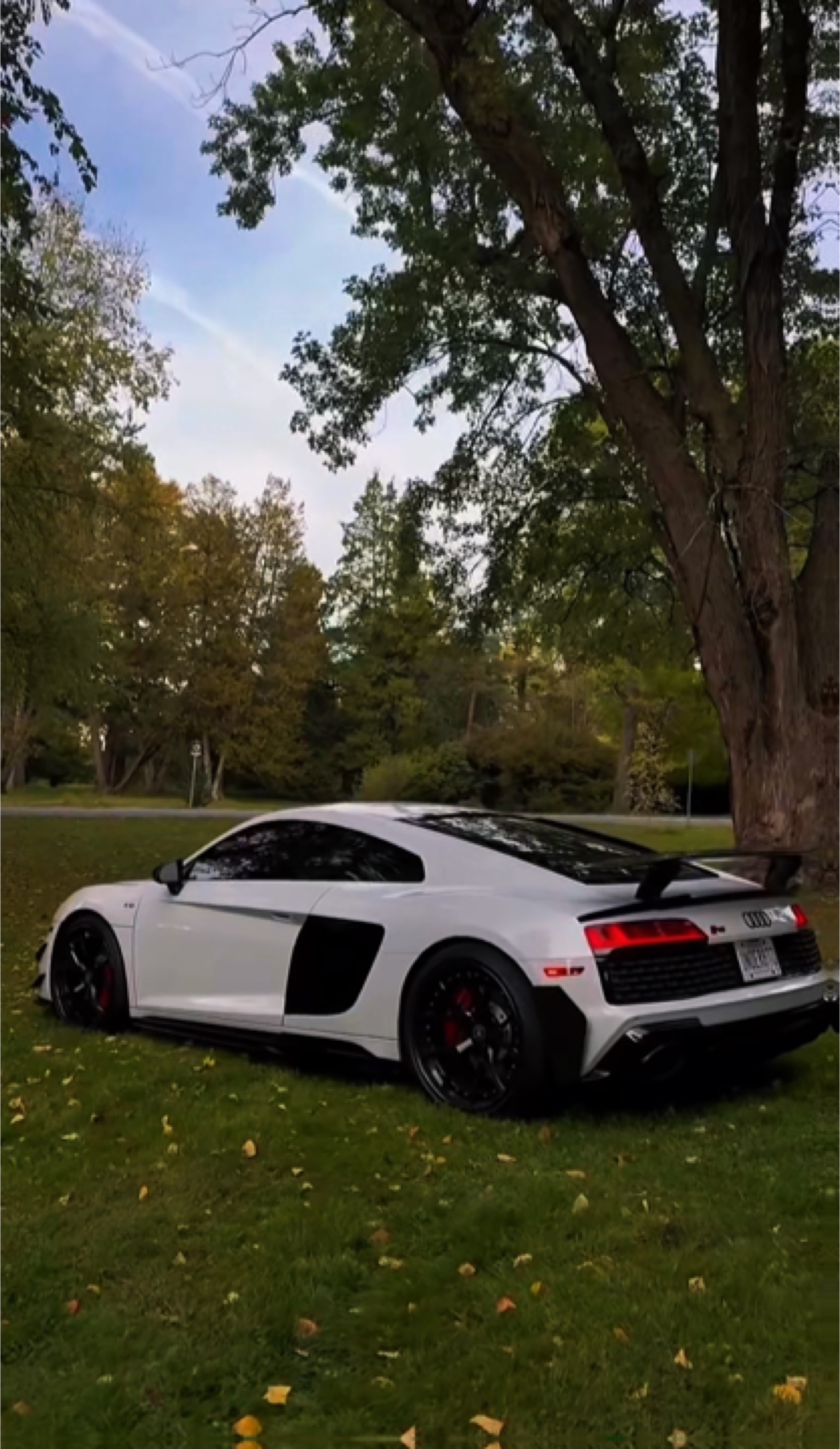 RS8🔥🔥🔥