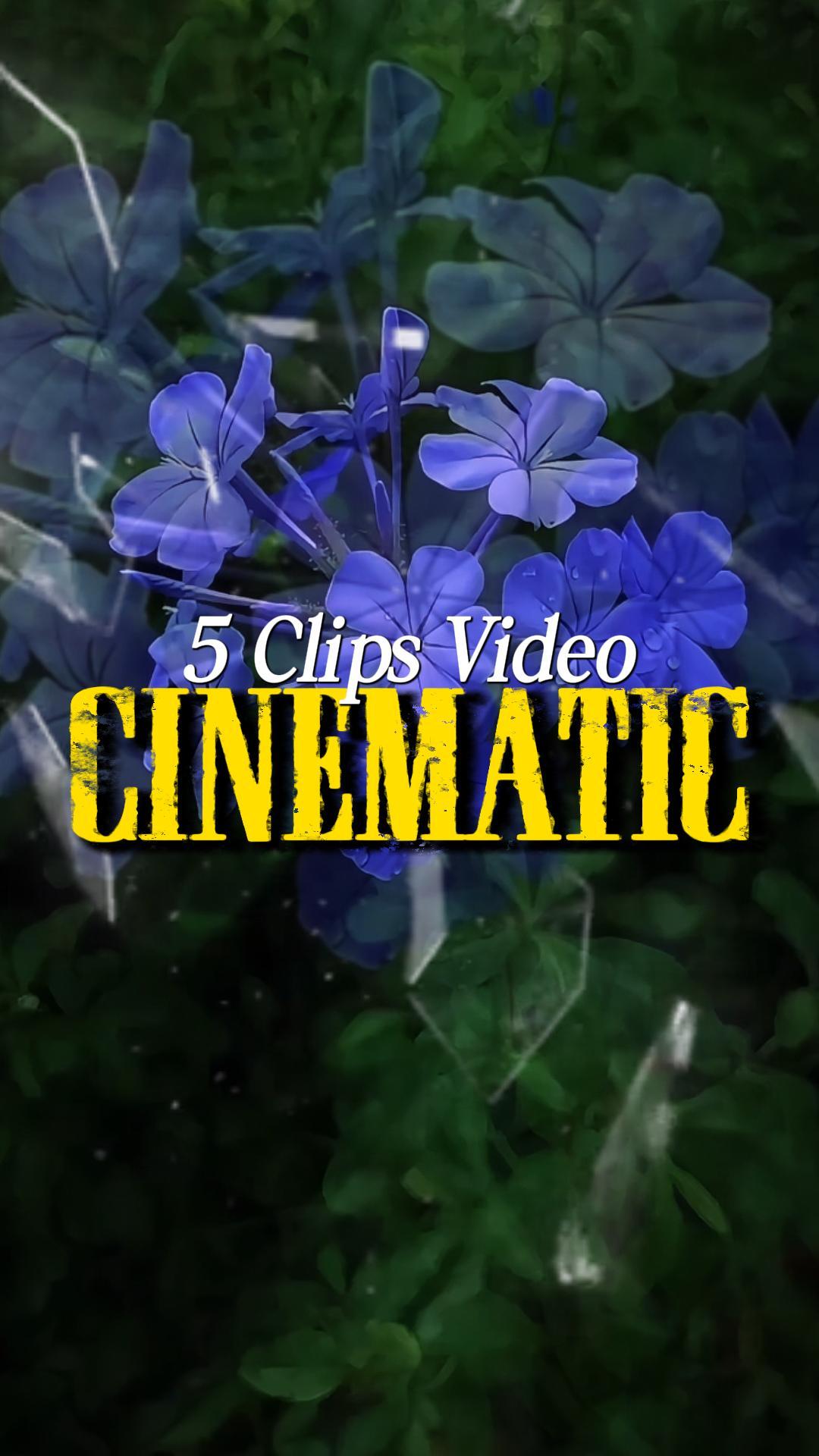 5 Clips Vidéo