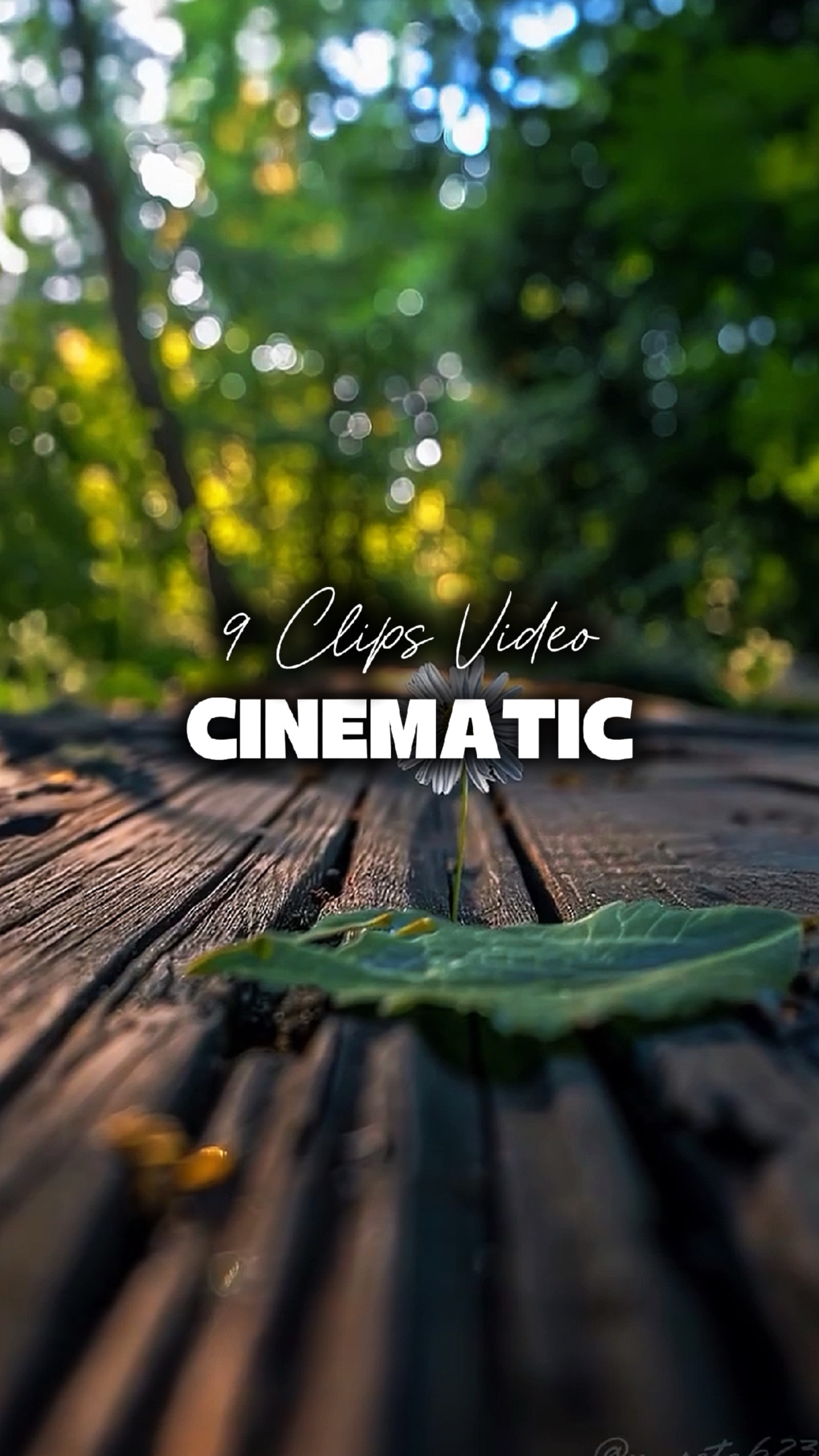 9 Clips Cinematic 