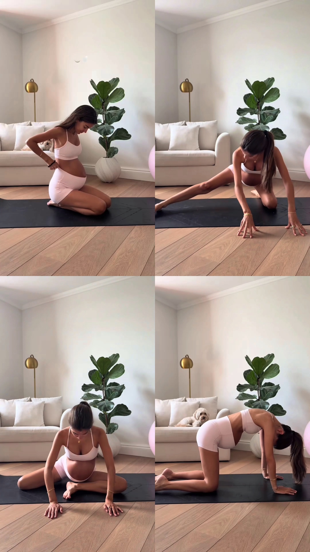 Exercice de grossesse