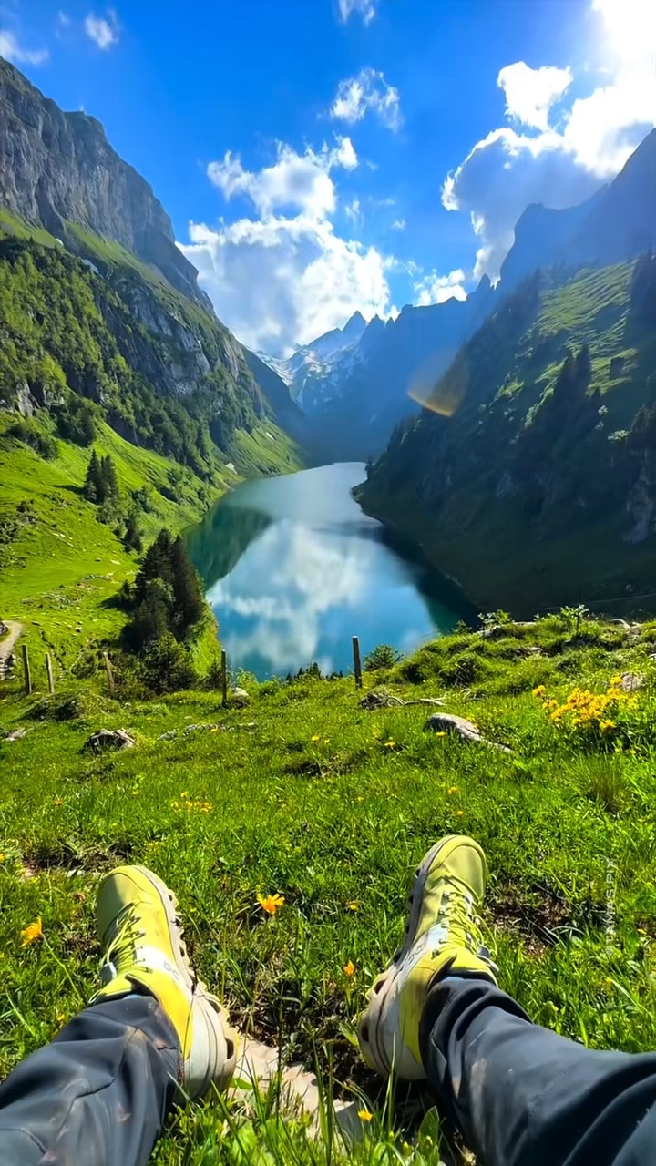 11 clips de naturaleza salvaje