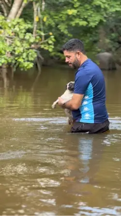 Pai meu herói 