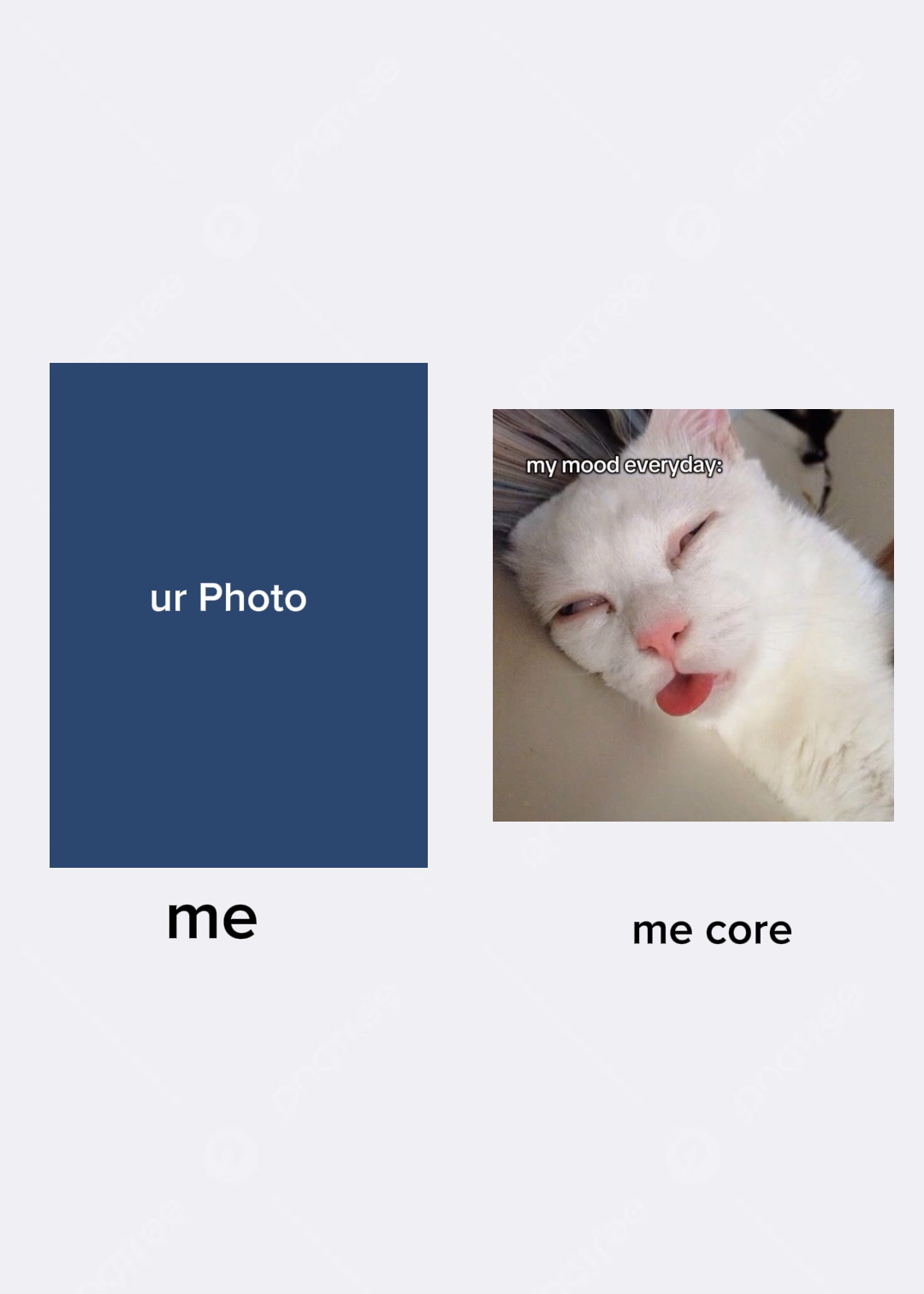 Mi núcleo