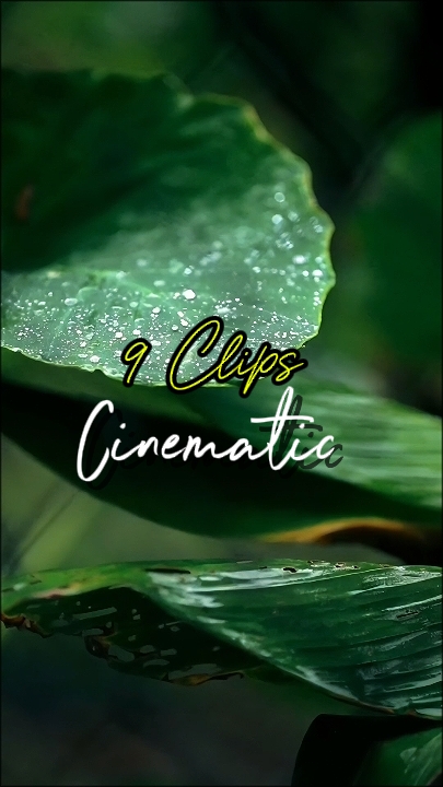 Cinematic Nature 
