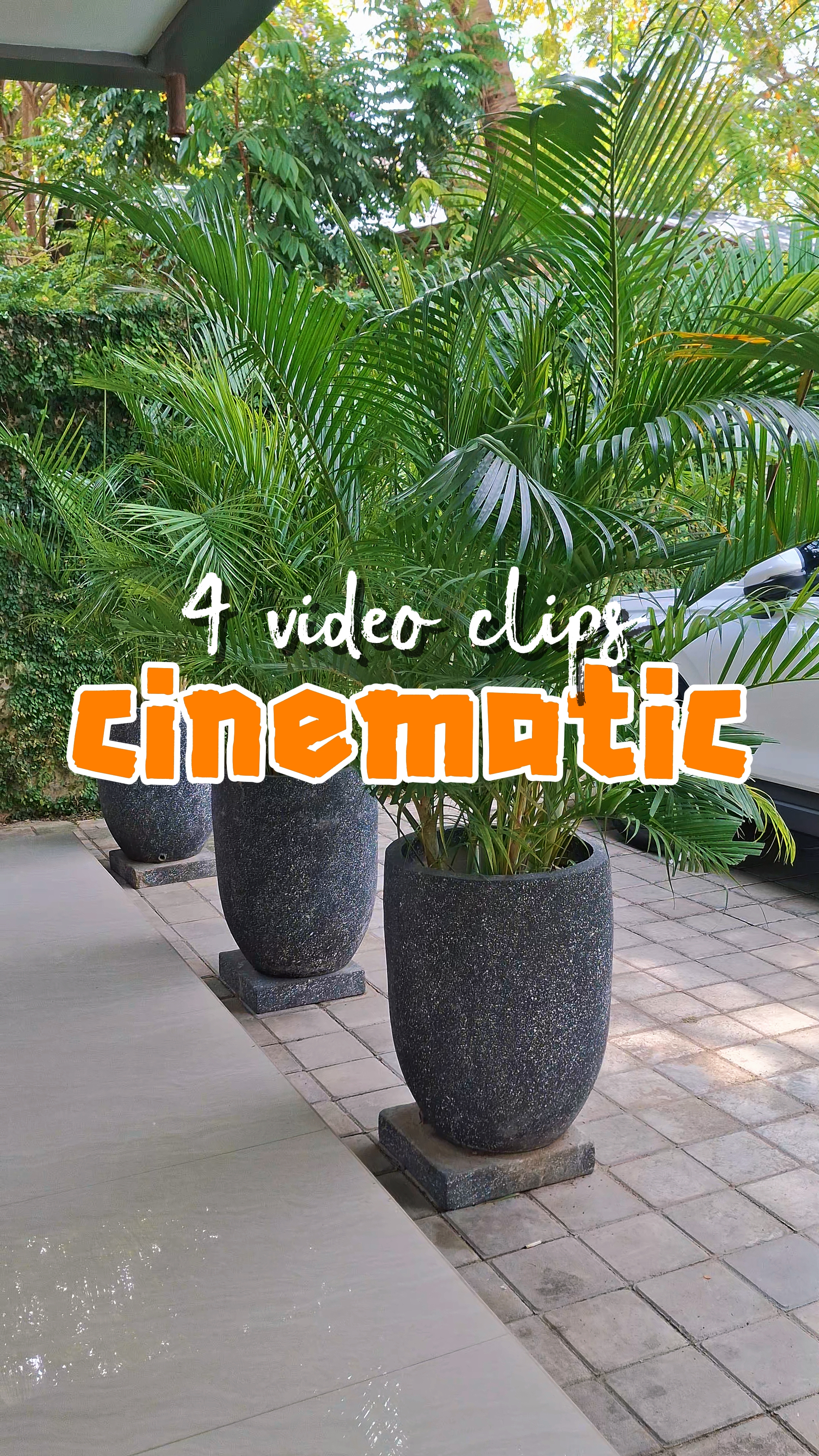 4 video clips