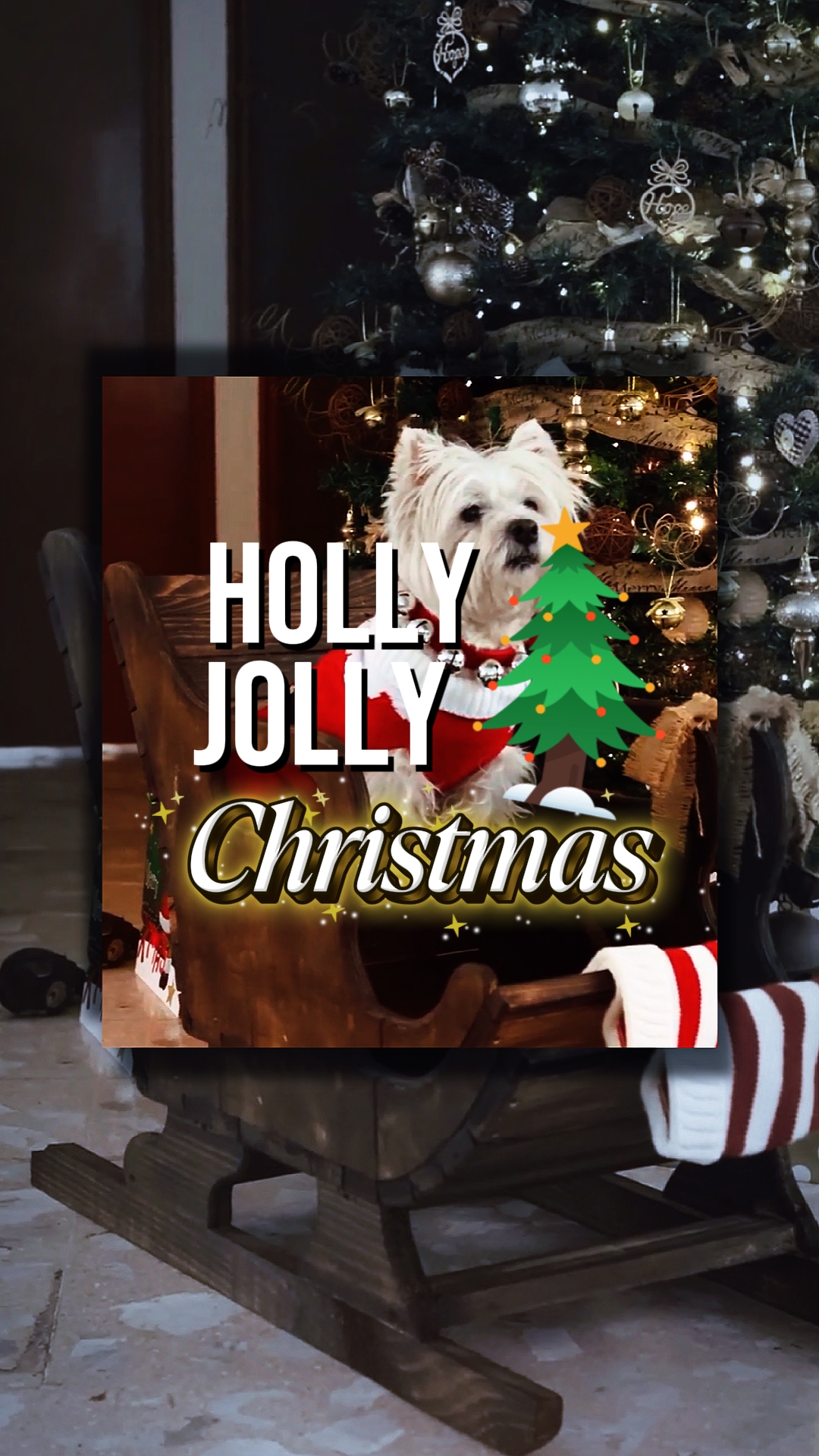hollyjolly christmas